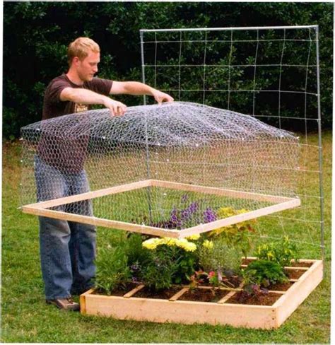 Diy Mesh Cover For Raised Garden Bed - Anse1966