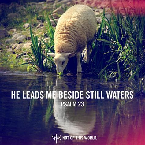 161 best the Lord is my shepherd images on Pinterest | Bible quotes, Bible scriptures and ...