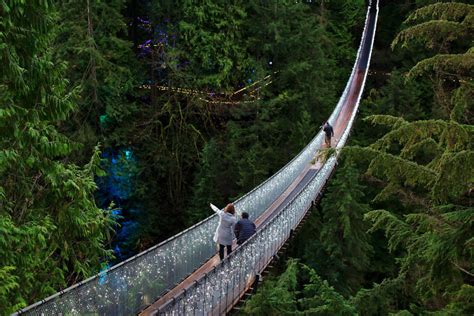 Capilano Suspension Bridge lights the way to Family Day! - West Coast ...