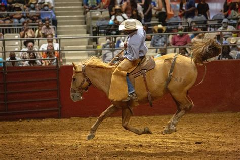 PHOTOS: Cowboys & Cowgirls Return To Texas Black Rodeo In Dallas | KERA ...