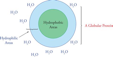 Biologically Important Molecules