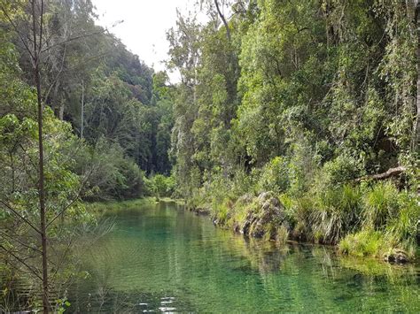 Conondale National Park: Booloumba Gold Mine Walk - Adventure Sunshine Coast