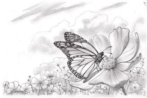 Butterfly Drawings | LIFE NEEDS ART | Strektegning