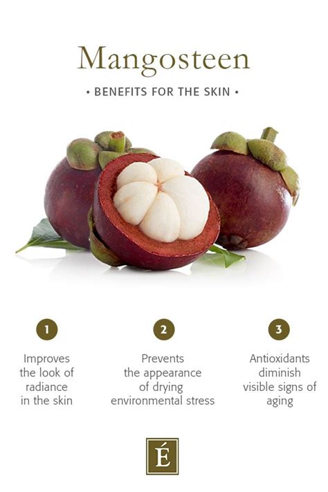 mangosteen benefits for the skin info graphic on white background with ...