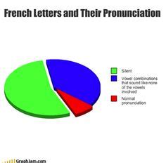 28 Hilarious Reasons Why The French Language Is The Worst French Grammar, French Phrases ...