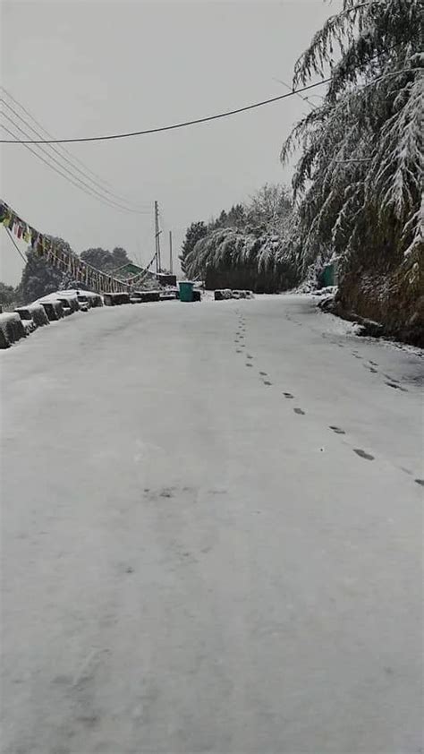 IN PHOTOS: Fresh snowfall in upper reaches of North Sikkim - EastMojo