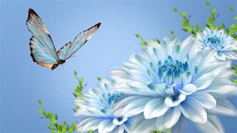 Blue Butterfly Wallpapers - Wallpaper Cave