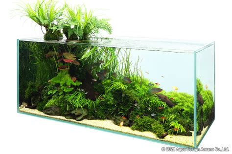 NATURE IN THE GLASS 'ADA Trend 2020' | en