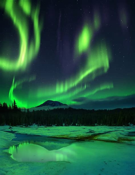 The 10 Best Things to Do in Lapland This Winter