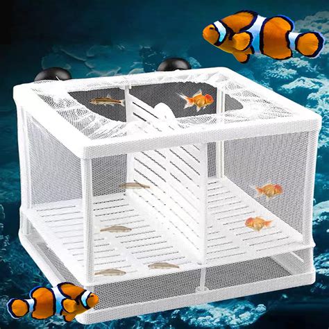 Buy Aquarium Fish Breeding Box, Small Fry Hatchery Net Fish Nursery ...