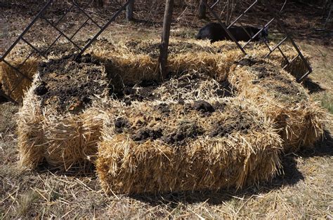 The Backyard Farming Connection: Gardening Methods: Straw Bale Gardening