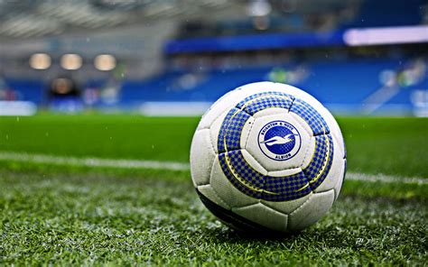 25+ Brighton Fc