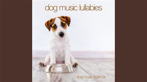 Puppy Lullaby - YouTube