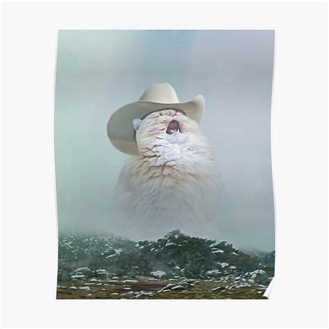 Cat Cowboy Hat Meme / Meowdy Funny Cat Cowboy Howdy Texas Greeting Meme ...