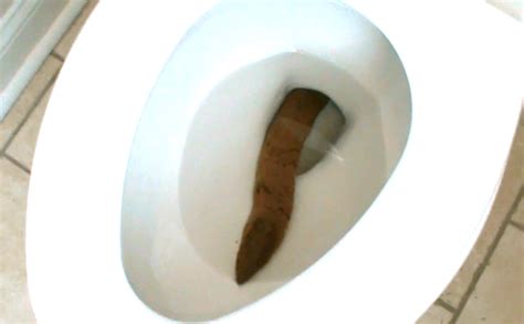 longest poop without breaking. rate my poo : r/ratemypoo