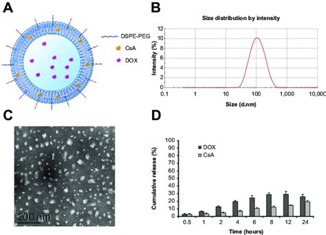 characterization of the sterically stabilized liposomes co-loaded with... | Download Scientific ...