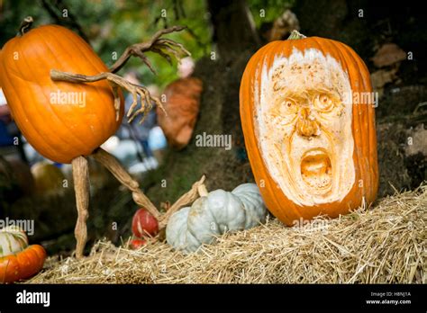 New York City, NY, USA. Fall at the Botanical Gardens Stock Photo - Alamy