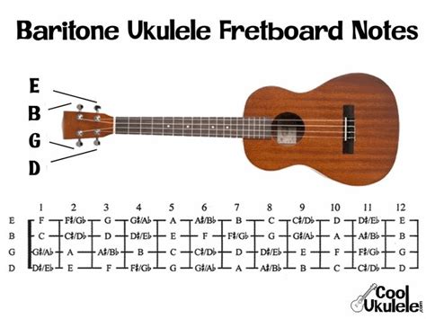 What are the Notes on a Ukulele? | CoolUkulele.com | Ukulele tuning, Ukulele, Ukulele strings