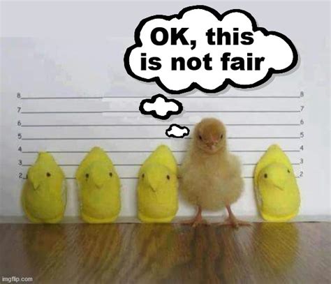 During the Easter season be careful when committing any crime - Imgflip