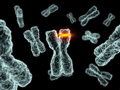 Types and Examples of DNA Mutations