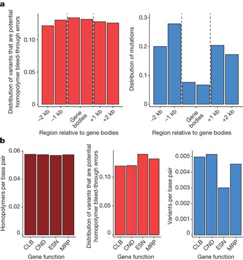 Reply to: Re-evaluating evidence for adaptive mutation rate variation ...