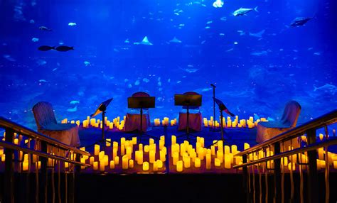 S.E.A. Aquarium (Singapore): Events & Tickets | Fever