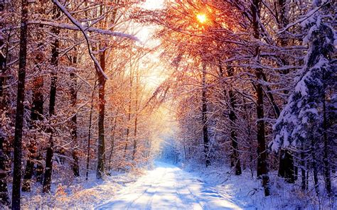 Winter Sunshine wallpaper | nature and landscape | Wallpaper Better