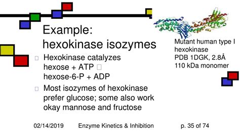 PPT - Enzymes: Kinetics & Inhibition PowerPoint Presentation, free download - ID:421296