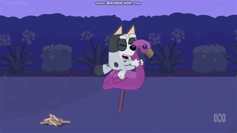 Bluey and Bingo Chase Muffin with Flamingo - YouTube