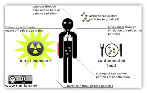 How Do Microbes Remove Radioactive Waste?