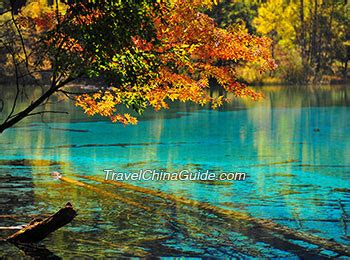 Five Flower Lake, Jiuzhaigou: Best Visit Time, Best Sites to Appreciate