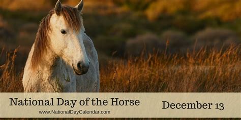 NATIONAL DAY OF THE HORSE - December 13 | Horses, Wild horses, National day