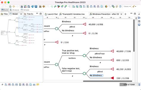 TreeAge Pro Workspace, Tree Explorer and Model Overview