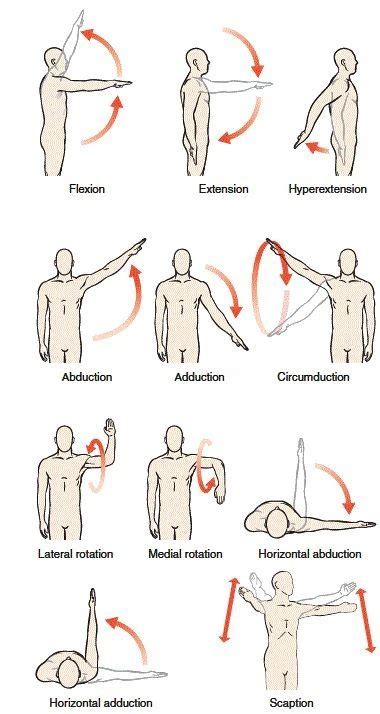 Best exercises for Shoulder joint - Benefits, Muscle worked - Mobile