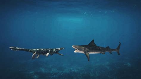 Mosasaurus Vs Megalodon by TheIsleUseeer on DeviantArt