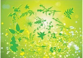 Free Bamboo Leaves Vector