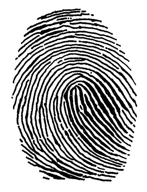 Free Fingerprint Transparent, Download Free Fingerprint Transparent png images, Free ClipArts on ...