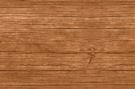 Wood Bark Texture | All Design Creative