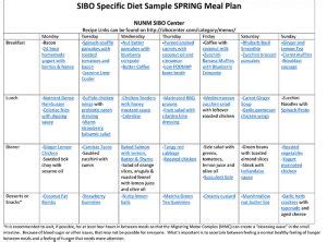 SIBO Specific Diet Meal Plan - SIBO Center