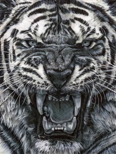 Tiger Roaring Sketch at PaintingValley.com | Explore collection of ...