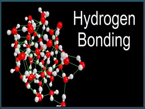 9 Hydrogen Bond Examples in Real Life – StudiousGuy