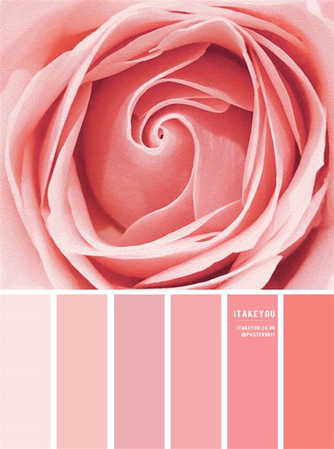 Color Inspiration : Rose Pink Tones I Take You | Wedding Readings | Wedding Ideas | Wedding ...