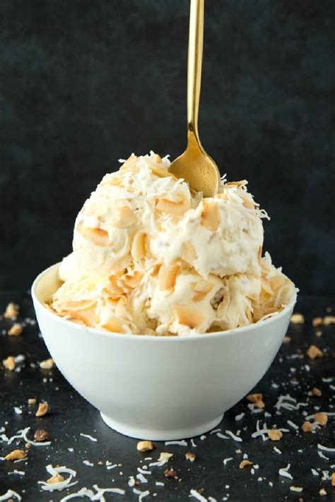 Coconut Milk Ice Cream {3 Ingredients!} - The Big Man's World