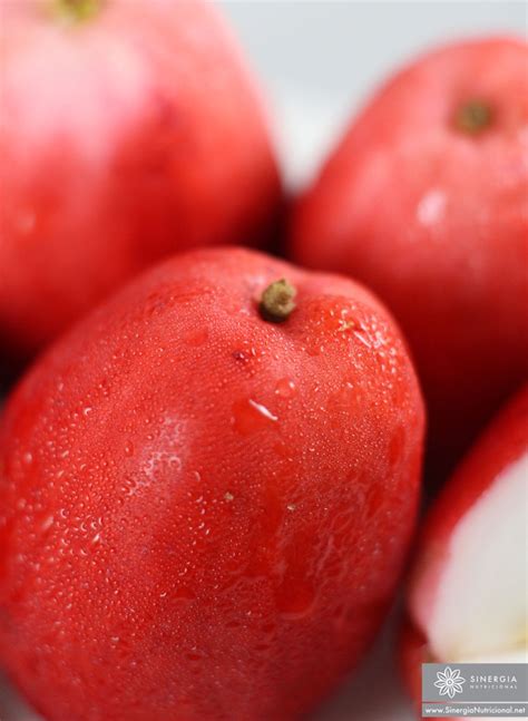 La Pomarrosa: La Fruta con Olor a Rosas - Sinergia Nutricional