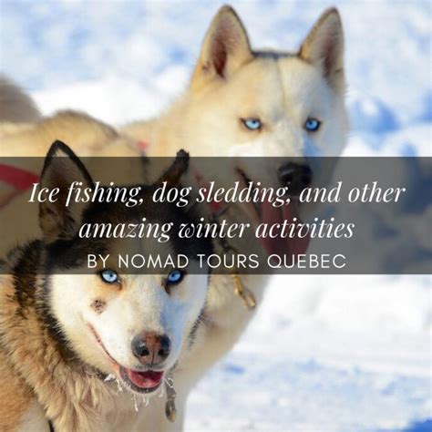 Amazing Winter Activities To Do In Quebec City | Nomad Tours Quebec