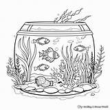 Aquarium Coloring Pages  Free & Printable sketch template