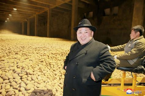 Trump's North Korea policy could trigger famine, experts warn
