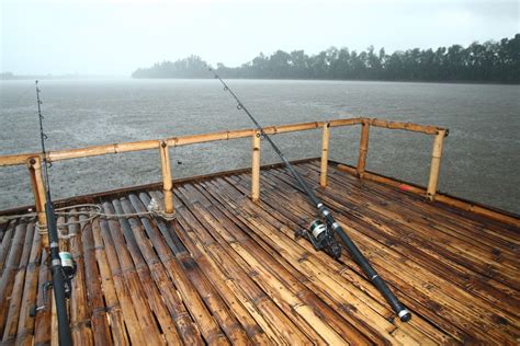 Giant Freshwater Stingray Fishing | MegaFishingThailand