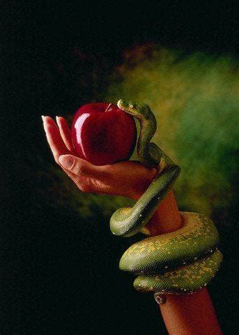 Unraveling the Story of Adam and Eve: The Forbidden Fruit and its Profound Significance | by ...