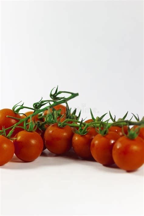 Cherry Tomatoes on the Vine Stock Photo - Image of fitness, flavor: 125960614